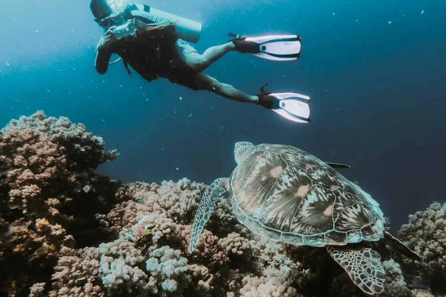 Scuba Diving Adventure